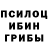 Галлюциногенные грибы Psilocybine cubensis A. Kolen
