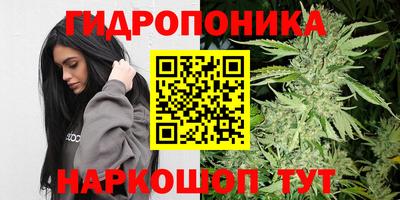 PSILOCYBIN Нарткала