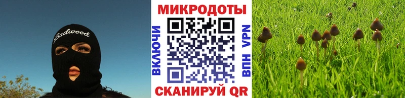 Псилоцибиновые грибы прущие грибы Саяногорск