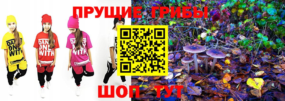 Саяногорск  Галлюциногенные грибы прущие грибы  Вход с VPN 